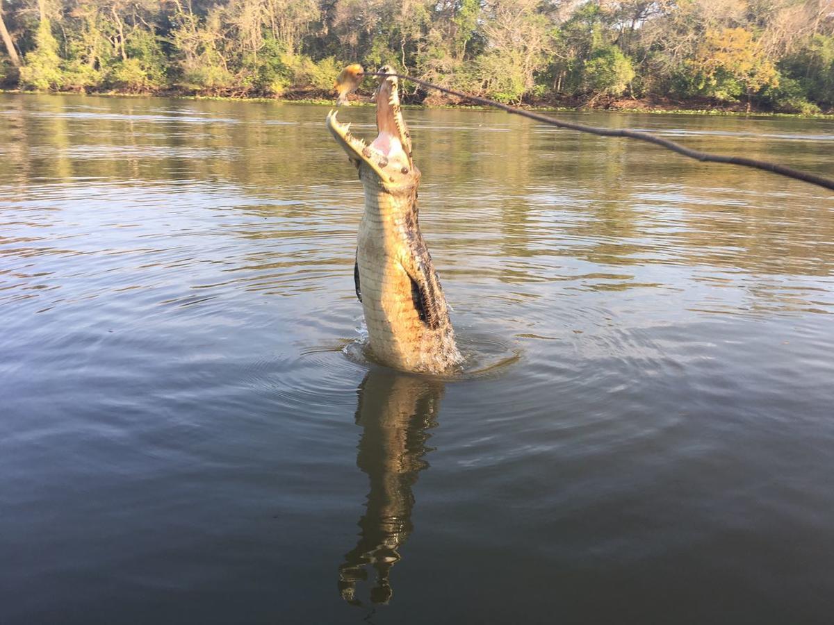 Canoas Hotel Poconé Zewnętrze zdjęcie